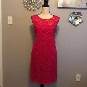 NWT Calvin Klein Hot pink lace dress